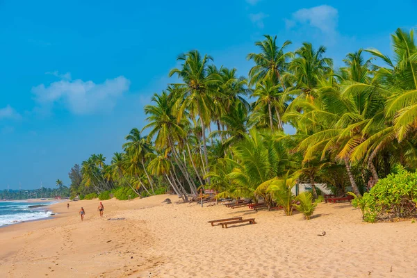 斯里兰卡Medaketyia海滩的艳阳天 — 图库照片