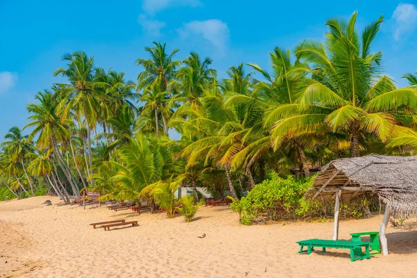 Giornata Sole Sulla Spiaggia Medaketyia Nello Sri Lanka — Foto Stock