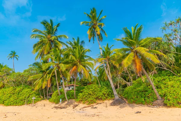 Dia Ensolarado Praia Medaketyia Sri Lanka — Fotografia de Stock