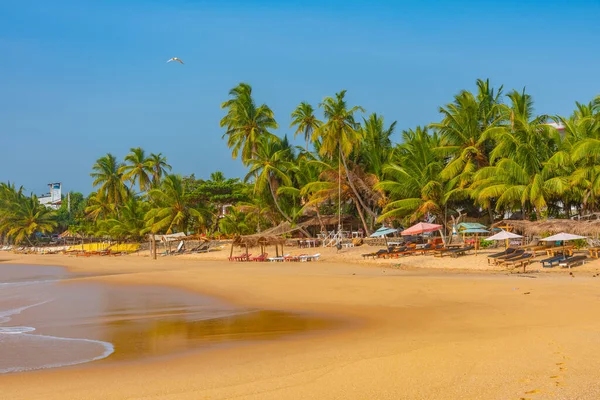 stock image Sunbeds at Marakolliya beach, Sri Lanka.