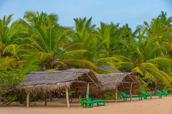 Лежаки Пляже Мараколлия Шри Ланка — стоковое фото