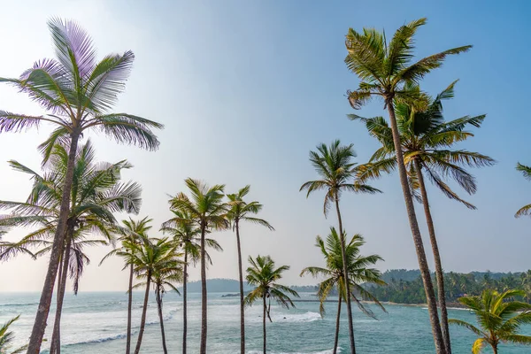 stock image Coconut hill with view at the indian ocean at Mirissa, Sri Lanka.