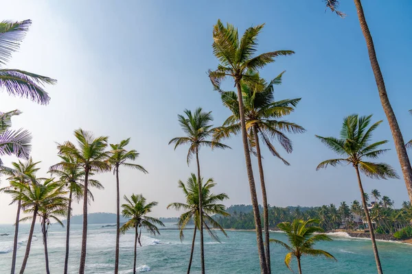 stock image Coconut hill with view at the indian ocean at Mirissa, Sri Lanka.