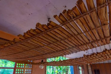 Tarçın üretim sırasında kuruyor, Sri Lanka.