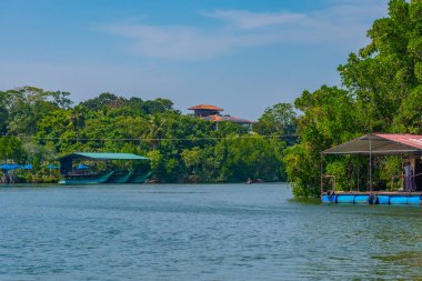 Sri Lanka 'daki Koggala gölünü çevreleyen yemyeşil ormanlar.