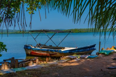 Sri Lanka 'daki Koggala gölüne demir atan balıkçı tekneleri..