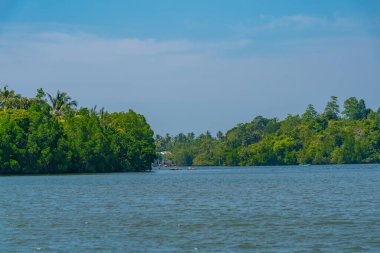 Sri Lanka 'daki Koggala gölünü çevreleyen yemyeşil ormanlar.