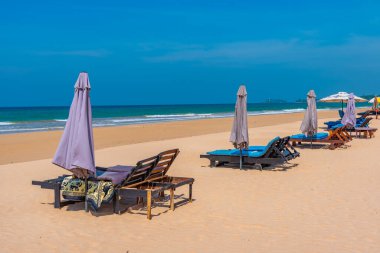 Bentota plajında güneşli yataklar, Sri Lanka.