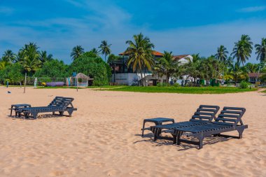 Bentota plajında güneşli yataklar, Sri Lanka.