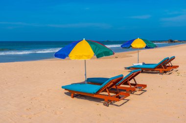 Bentota plajında güneşli yataklar, Sri Lanka.