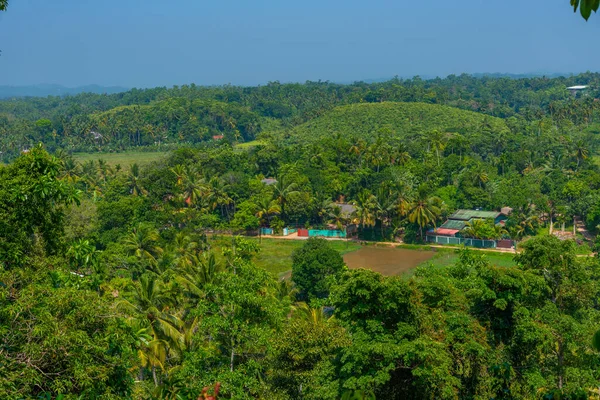 Mirissa Colinas Plantação Canela Sri Lanka — Fotografia de Stock
