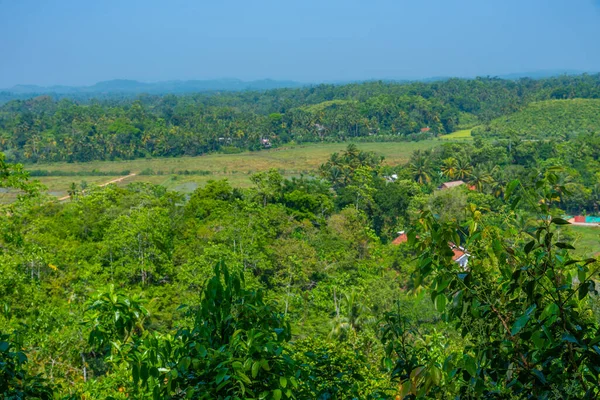 Φυτεία Κανέλας Λόφους Mirissa Στη Σρι Λάνκα — Φωτογραφία Αρχείου