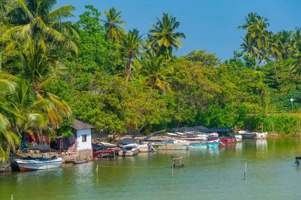 Bateaux Pêche Amarrés Lagune Koggala Sri Lanka — Photo