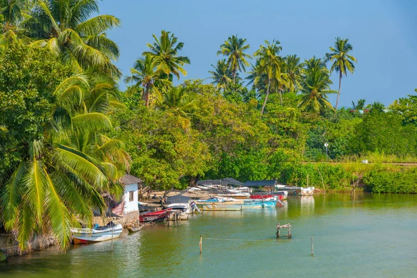 Amarre Barcos Pesqueros Laguna Koggala Sri Lanka —  Fotos de Stock