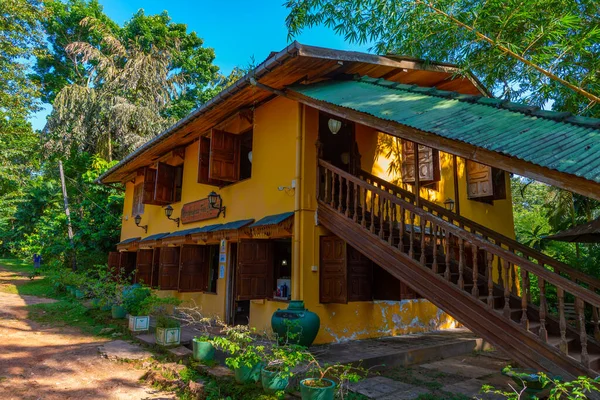 Handunugoda Tea Estate Der Nähe Von Koggala Sri Lanka — Stockfoto