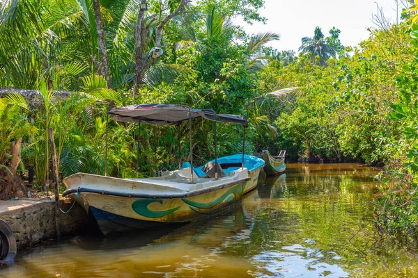 Bateaux Pêche Amarrés Lagune Koggala Sri Lanka — Photo