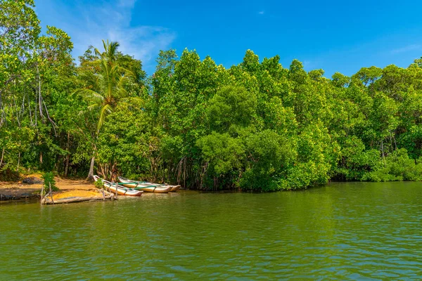 Bosques Exuberantes Que Rodean Laguna Koggala Sri Lanka —  Fotos de Stock