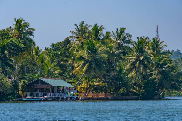 Forêts Luxuriantes Entourant Lagune Koggala Sri Lanka — Photo