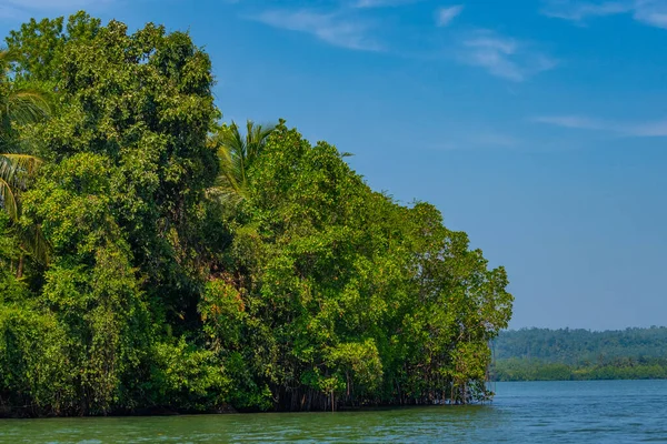 Forêts Luxuriantes Entourant Lagune Koggala Sri Lanka — Photo