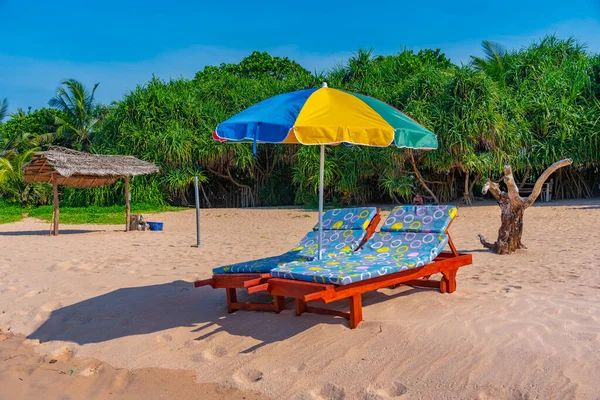 Tumbonas Playa Bentota Sri Lanka —  Fotos de Stock