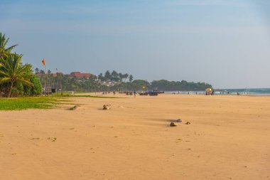 Sri Lanka 'daki Bentota sahilinde güneşli bir gün..