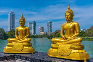 Sri Lanka, Colombo 'daki Gangarama Seema Malakaya Budist Tapınağı' ndaki altın Buda heykelleri..
