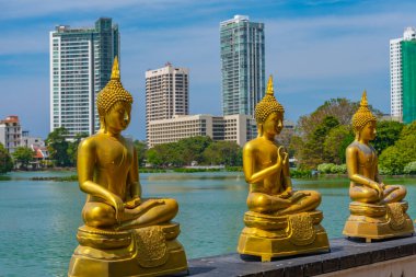 Sri Lanka, Colombo 'daki Gangarama Seema Malakaya Budist Tapınağı' ndaki altın Buda heykelleri..