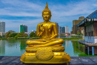 Sri Lanka, Colombo 'daki Gangarama Seema Malakaya Budist Tapınağı' ndaki altın Buda heykelleri..