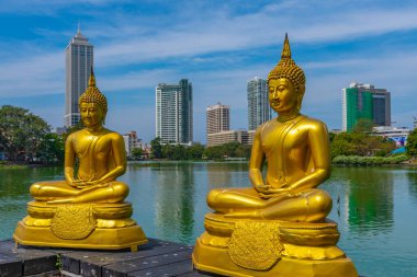 Sri Lanka, Colombo 'daki Gangarama Seema Malakaya Budist Tapınağı' ndaki altın Buda heykelleri..