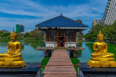 Sri Lanka, Colombo 'daki Gangarama Seema Malakaya Budist Tapınağı' ndaki altın Buda heykelleri..