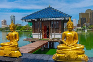 Sri Lanka, Colombo 'daki Gangarama Seema Malakaya Budist Tapınağı' ndaki altın Buda heykelleri..