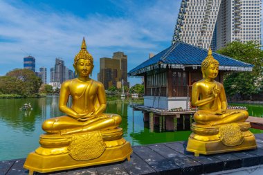 Sri Lanka, Colombo 'daki Gangarama Seema Malakaya Budist Tapınağı' ndaki altın Buda heykelleri..