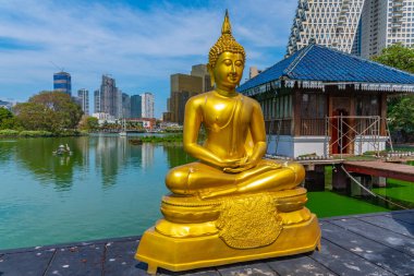 Sri Lanka, Colombo 'daki Gangarama Seema Malakaya Budist Tapınağı' ndaki altın Buda heykelleri..