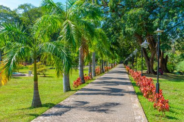 Colombo, Sri Lanka 'daki Viharamahadevi Parkı.