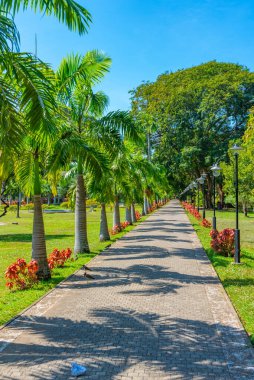 Colombo, Sri Lanka 'daki Viharamahadevi Parkı.