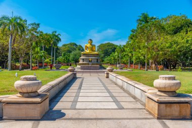 Sri Lanka 'daki Colombo belediye meclisi önünde Buda heykeli.