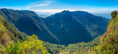 Sri Lanka 'daki Horton Plains Ulusal Parkı' nda dünyanın sonu..
