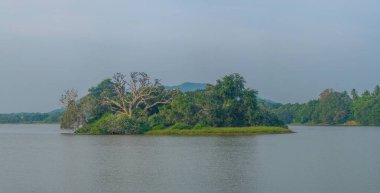 Sri Lanka 'daki Tissa Weva Gölü