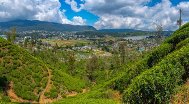 Nuwara Eliya 'nın Sri Lanka' daki manzarası.