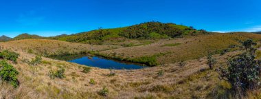 Sri Lanka 'daki Horton Plains Ulusal Parkı' nın doğal manzarası.