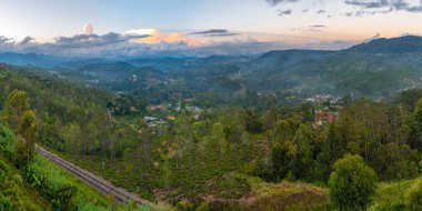 Sri Lanka 'da Haputale çevresindeki çay tarlaları.