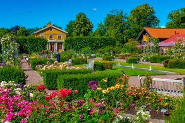 İsveç 'in Göteborg kentindeki gül bahçesinin manzarası.