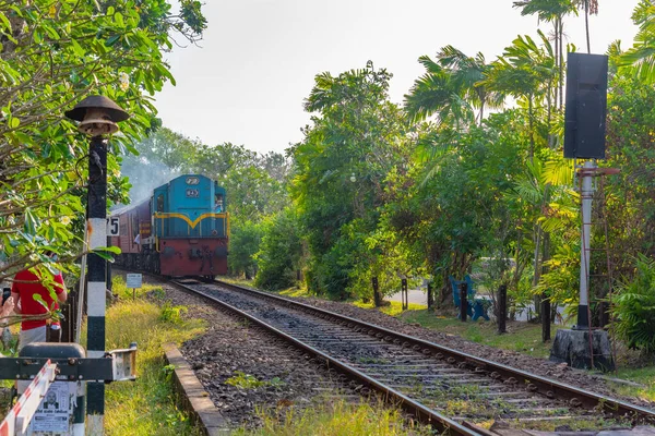 在斯里兰卡本托塔通过铁路过境点的火车 — 图库照片