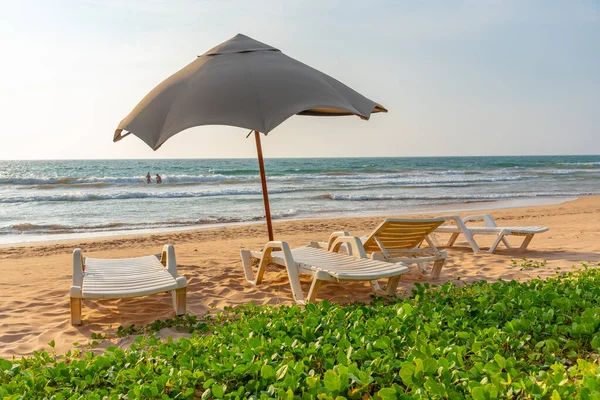 stock image Sunbeds at Bentota beach, Sri Lanka.