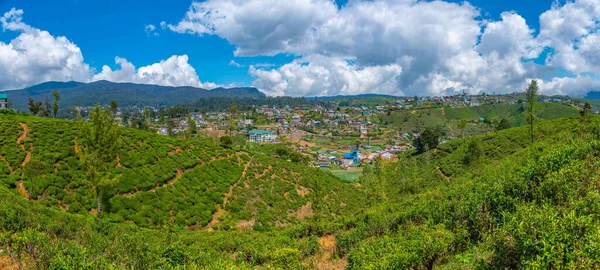 Vista Panorámica Nuwara Eliya Sri Lanka —  Fotos de Stock