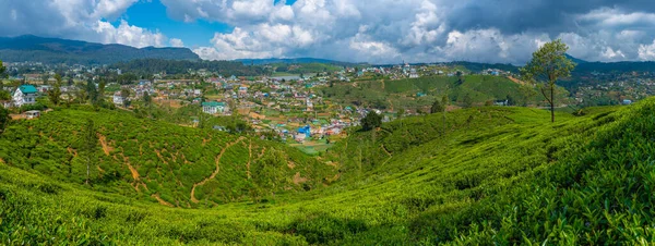 Panorama Nuwara Eliya Sri Lance — Zdjęcie stockowe