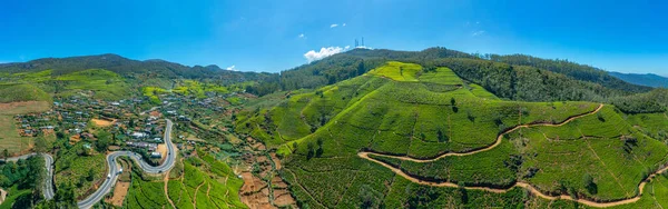 Tea Ültetvények Nuwara Eliya Környékén Srí Lankán — Stock Fotó
