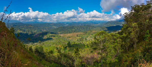 stock image Tea plantations around Haputale in Sri Lanka.