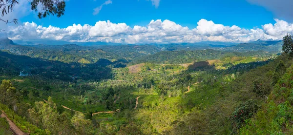 Teeplantagen Rund Haputale Sri Lanka — Stockfoto