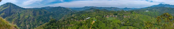 Tea Plantation Surrounding Little Adam Peak Ella Sri Lanka — Stock Photo, Image